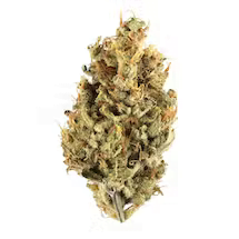 Indica